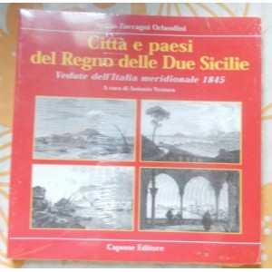 Attilio Zuccagni Orlandini, Città e paesi del Regno delle Due Sicilie 