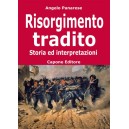 Angelo Panarese, Risorgimento tradito storia ed interpretazioni