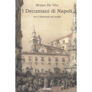 I decumani di Napoli con il dizionario dei luoghi