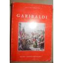 Garibaldi